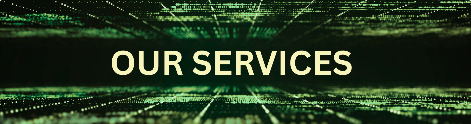 Accurlytics Services